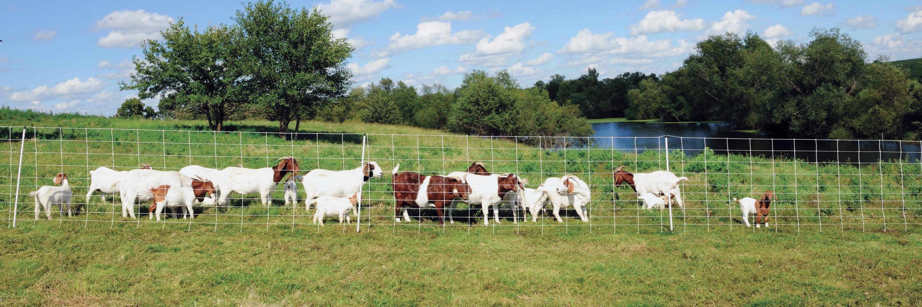 Premier1Fence's profile banner image