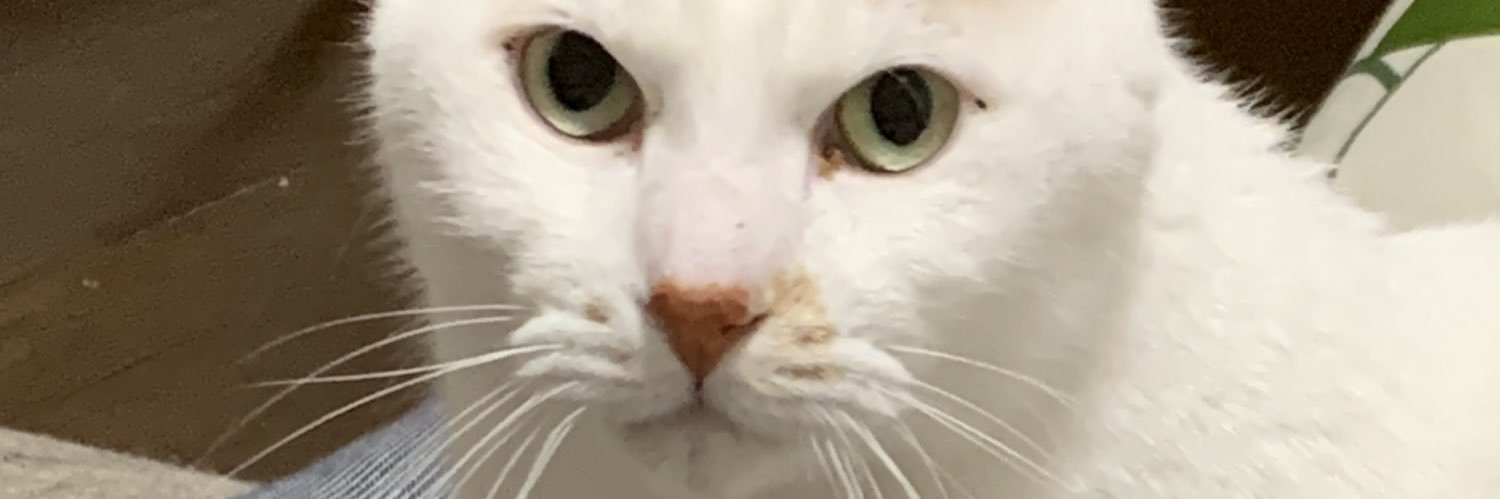 reio_05's profile banner image