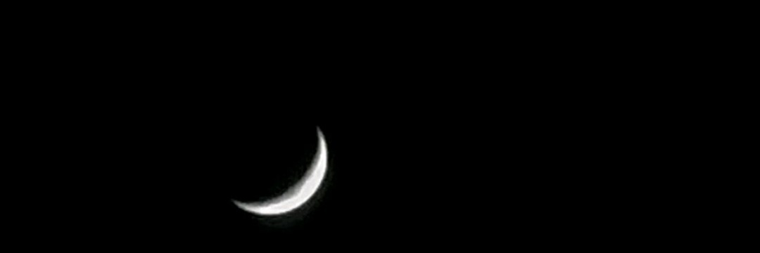certify_doughty's profile banner image
