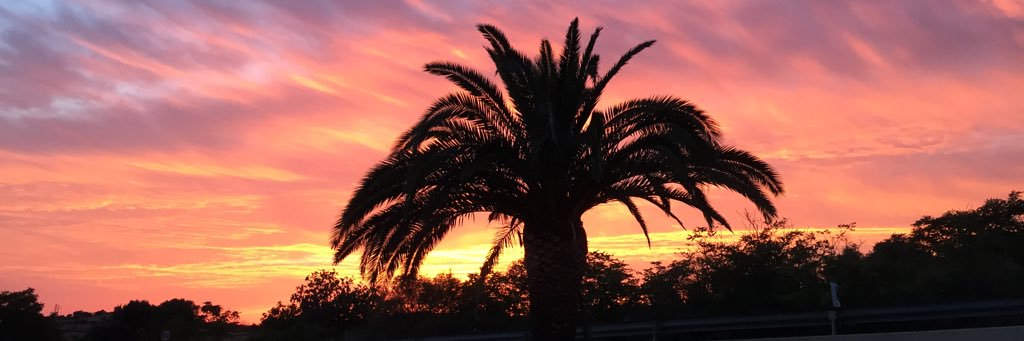 anabelromerog's profile banner image