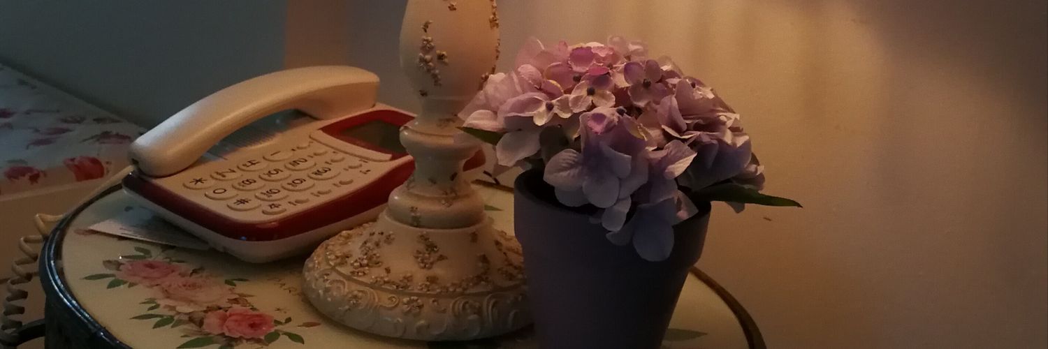 zoelibrahim's profile banner image