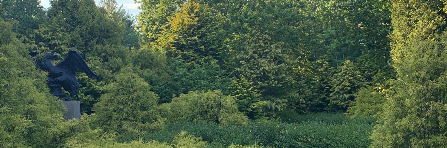 hoffcopter's profile banner image