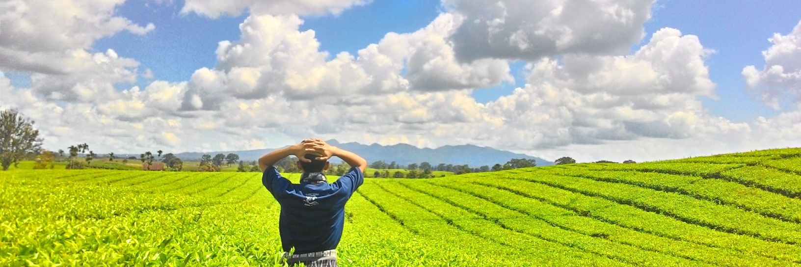 Fandi Santoso banner