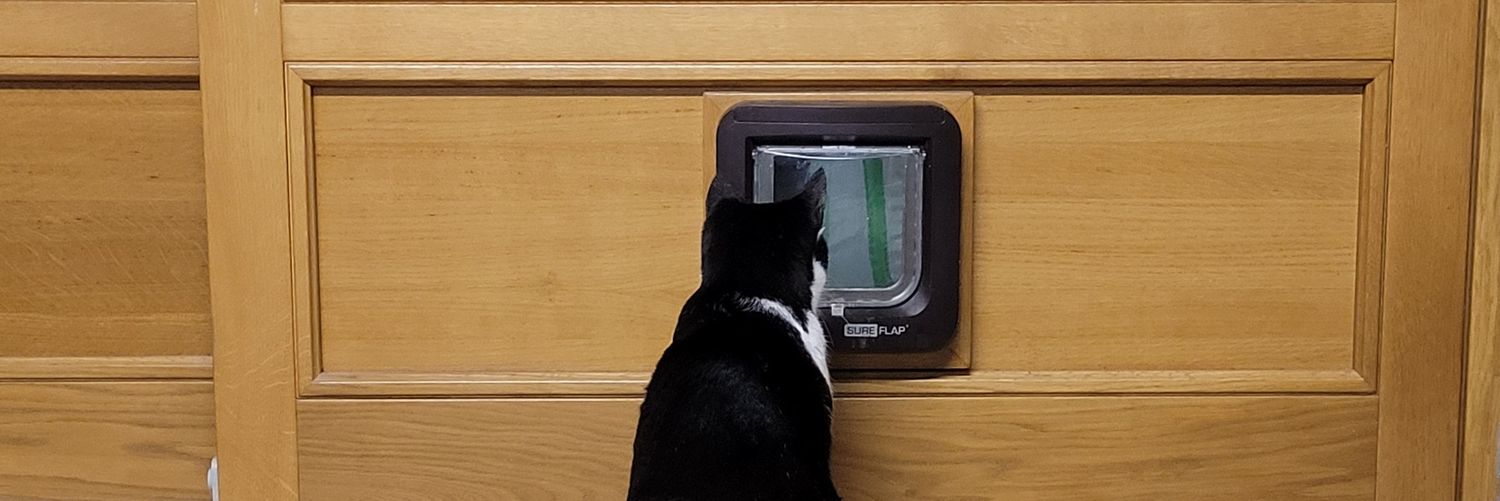 Rodo 🇵🇸 banner