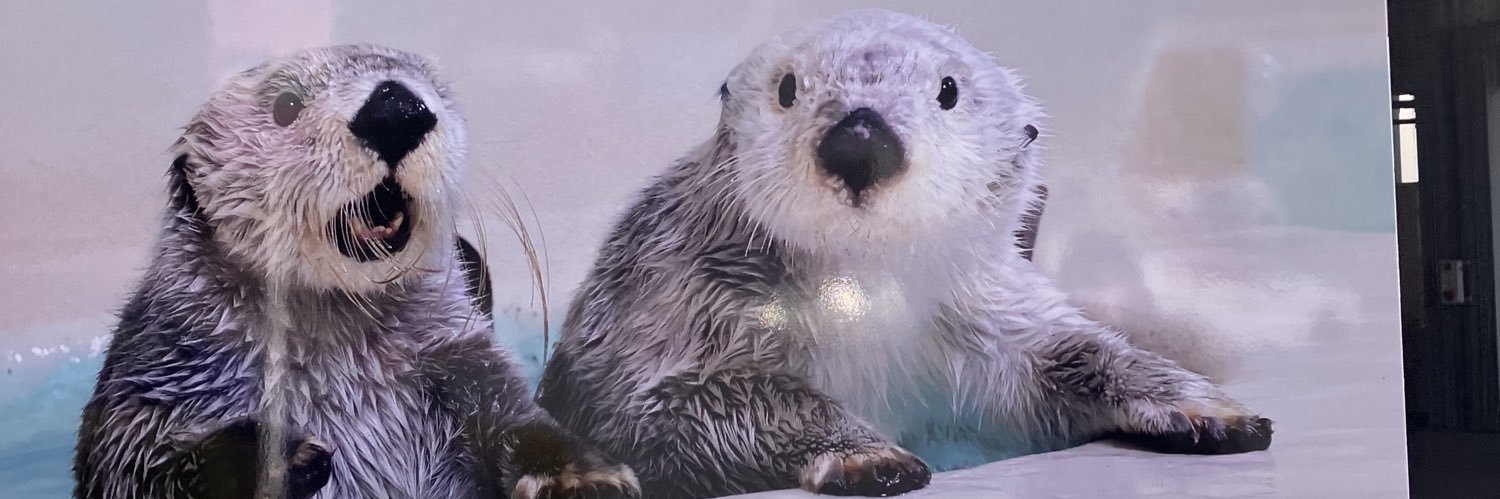 シナモン banner
