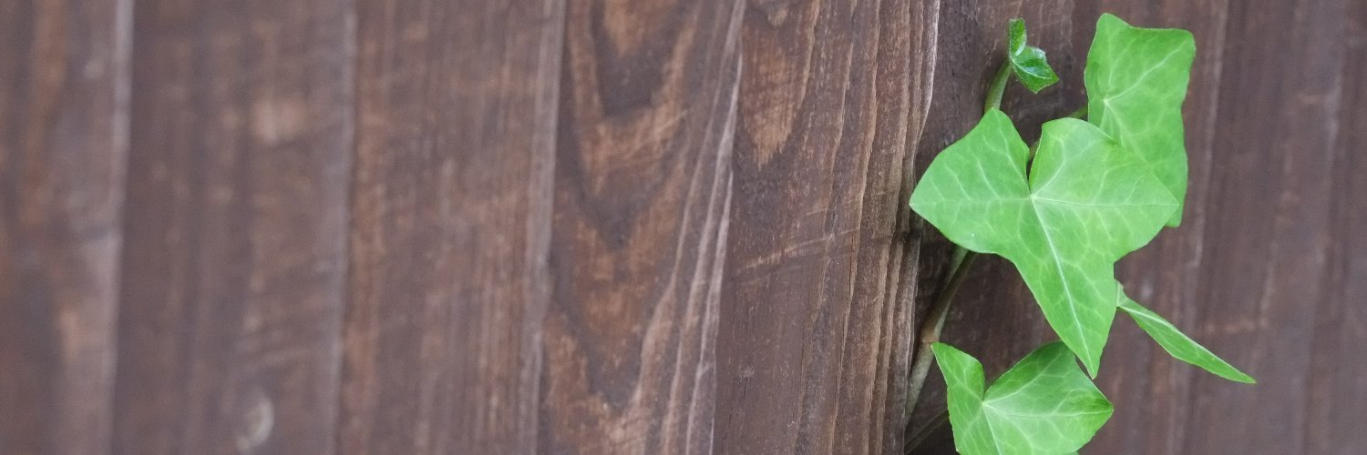mshirvan's profile banner image