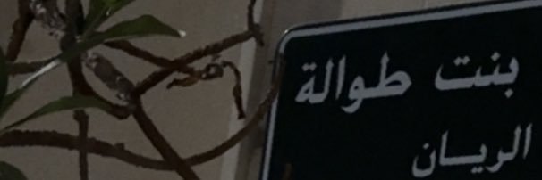 Najla2_8's profile banner image