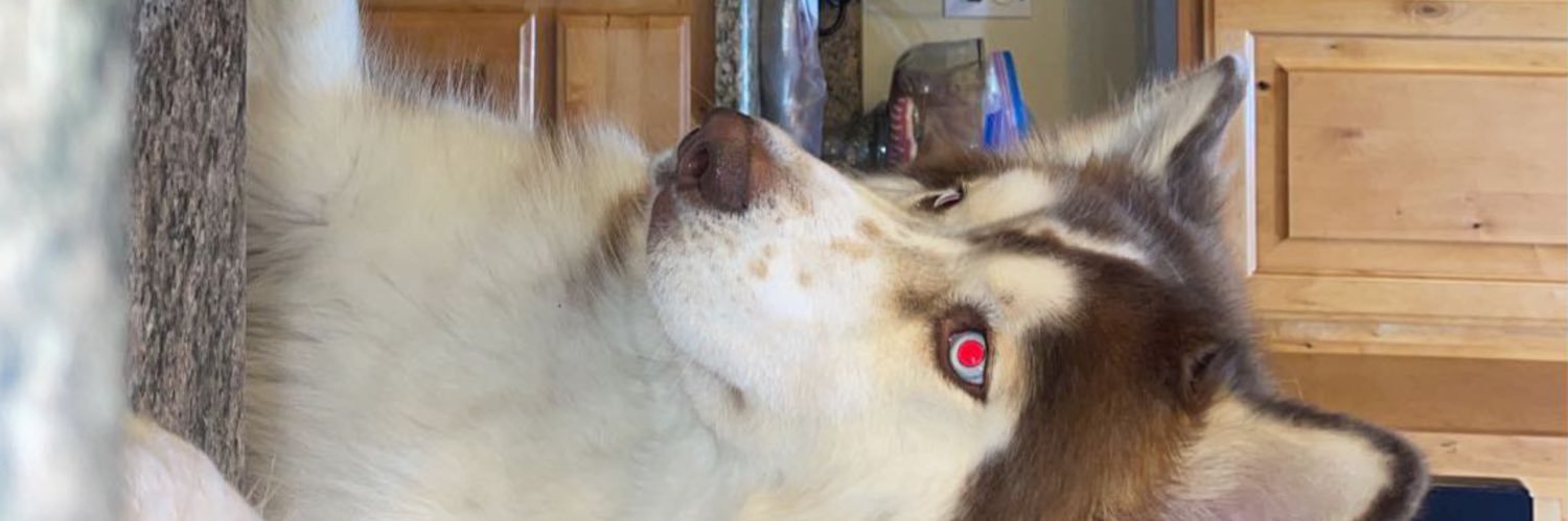 kyle_c2526's profile banner image