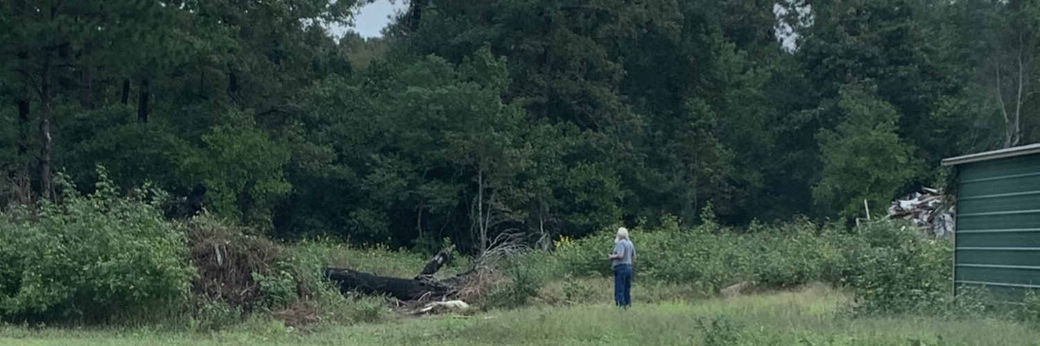 Emma Stratton banner