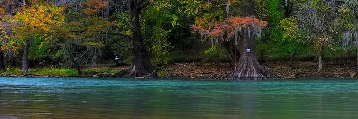 TweetTonyMac's profile banner image