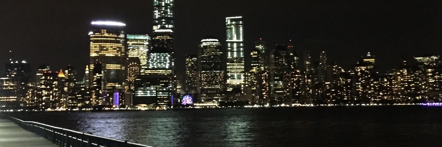 FlyOne1's profile banner image