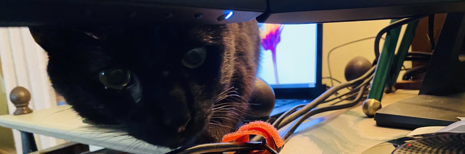 ThatPeskyDNA's profile banner image