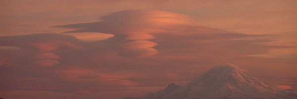 markigra Profile Banner