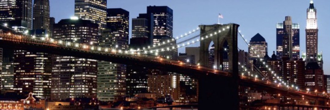 MaddieNYC ☮️🇺🇸🇨🇦🗽🇺🇦🇮🇱♊️ banner