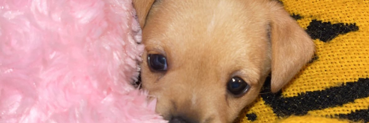 MannKayla's profile banner image