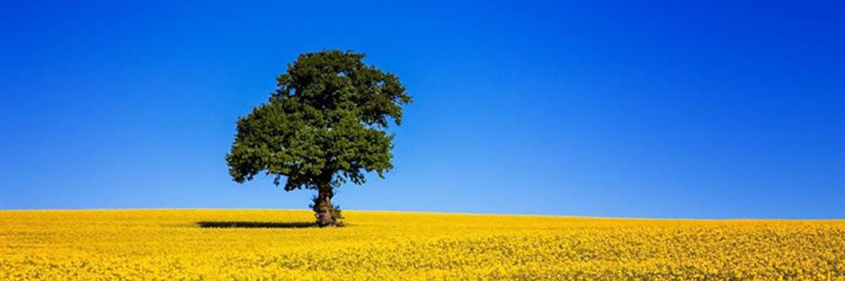 divan_ukr's profile banner image