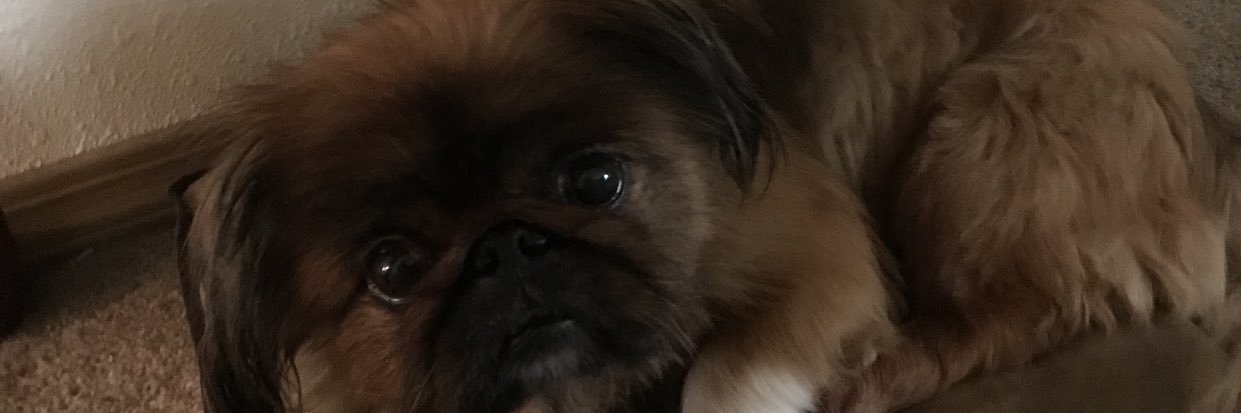 itstatyyyy's profile banner image