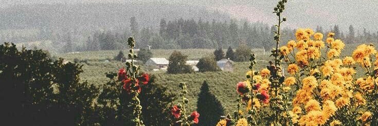LauraMorcla's profile banner image