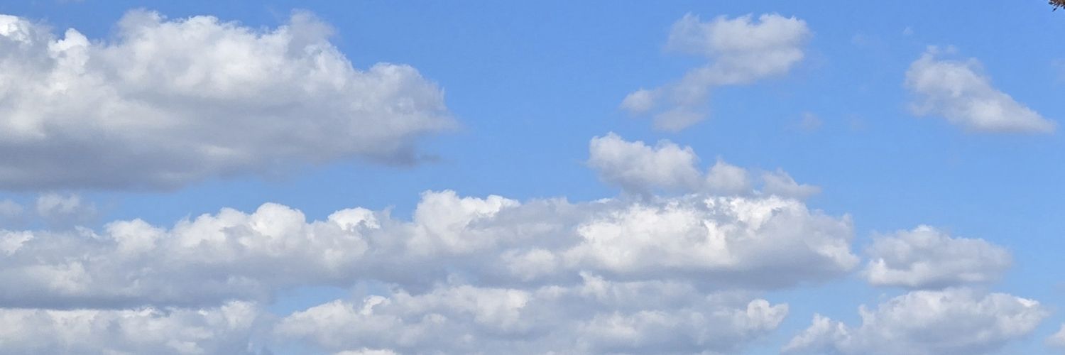 catherine_m_'s profile banner image