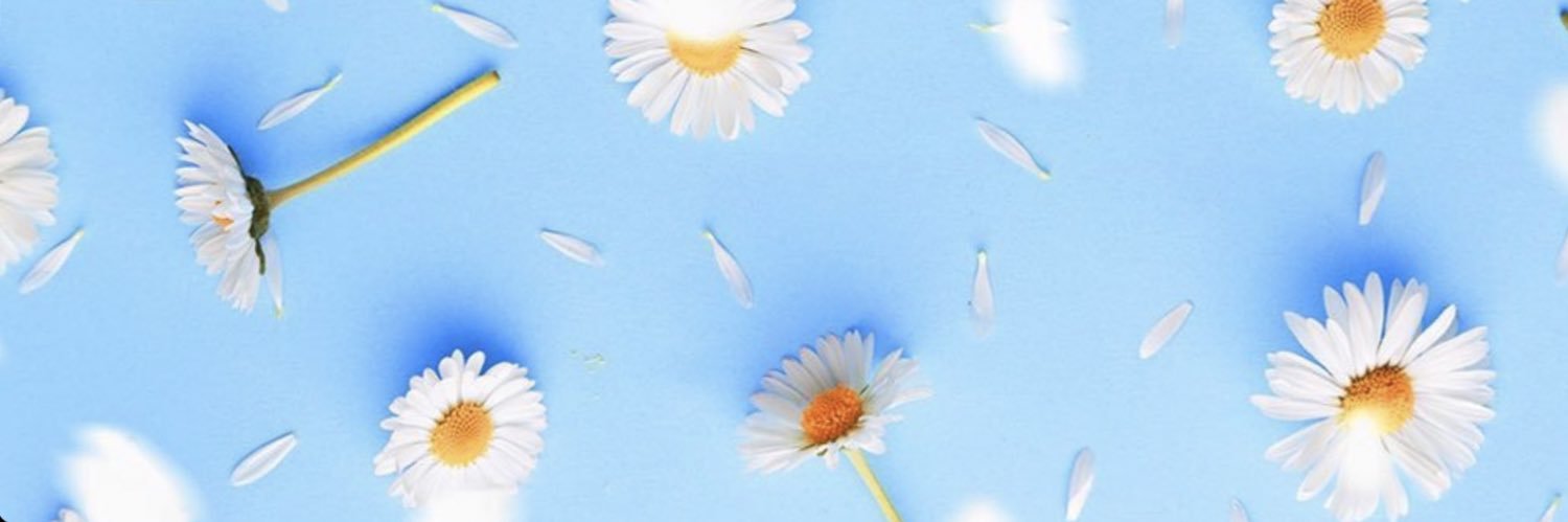 marghegaddoni's profile banner image