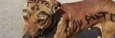 efusiv_'s profile banner image