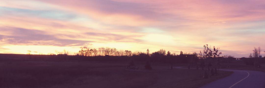 dmariesmitty's profile banner image