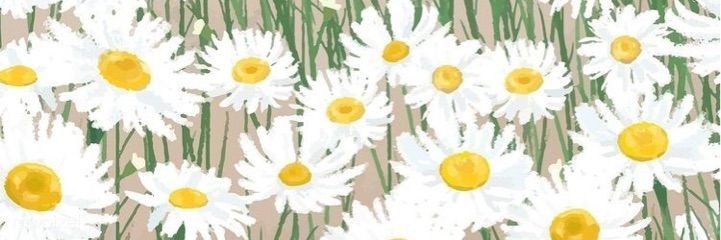 Querorina's profile banner image