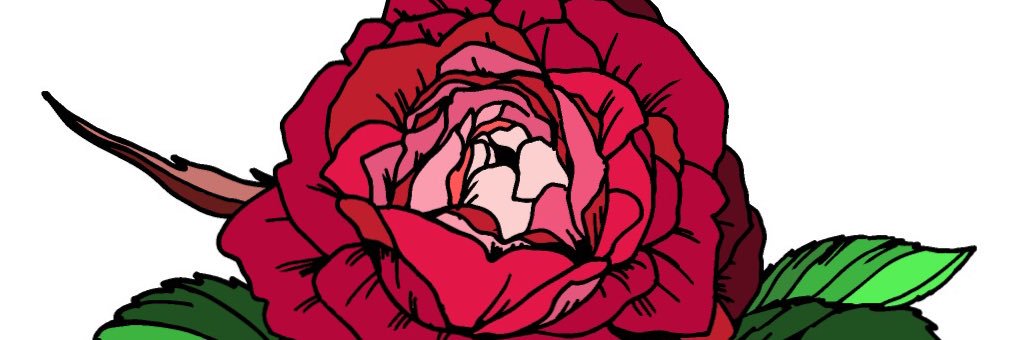 AnnCochran2's profile banner image