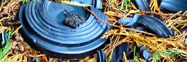 CoffDodgers Profile Banner