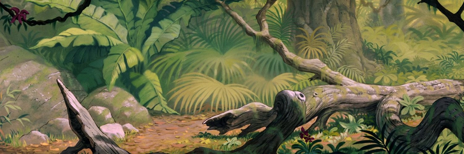_chestrockwell_'s profile banner image