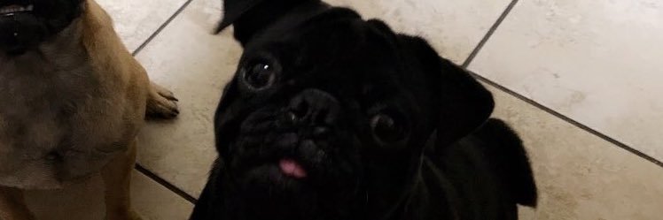 CIutchG's profile banner image