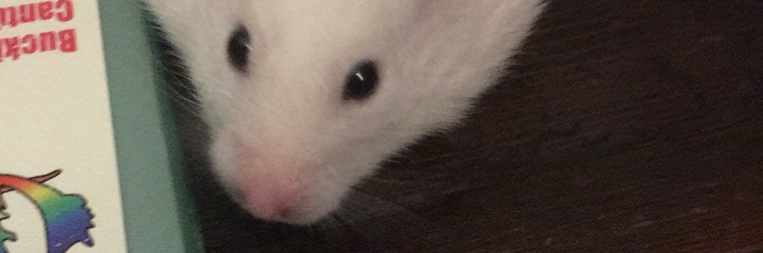 d0gushka's profile banner image