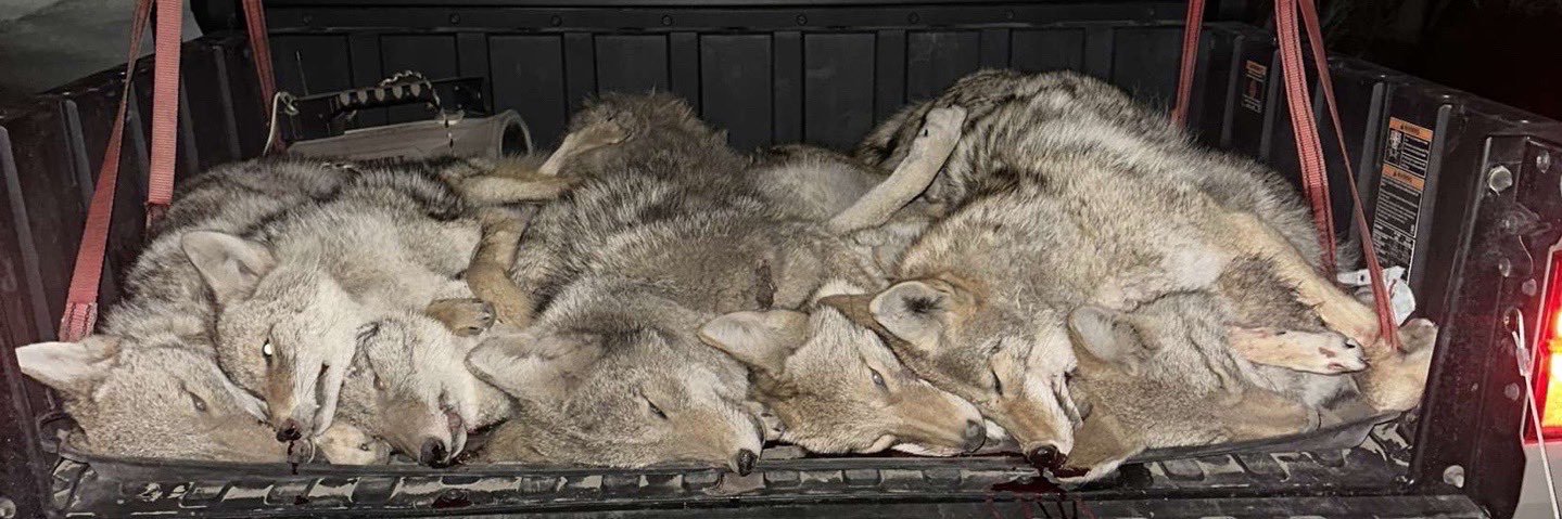 Keaton Frewen banner