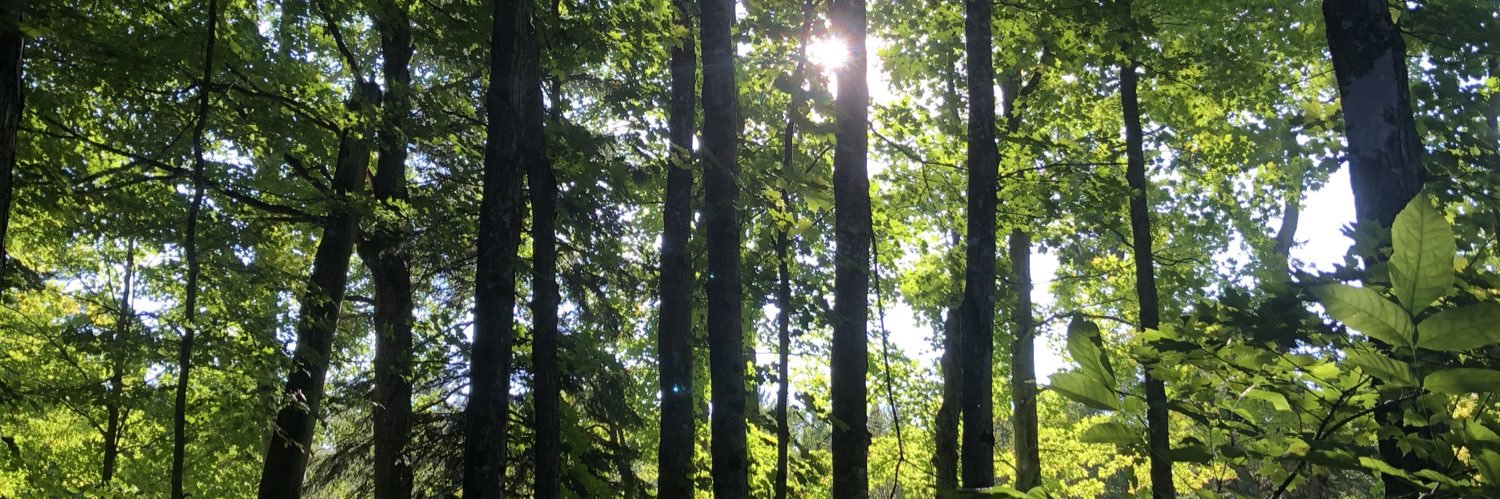 MorganDebelak's profile banner image