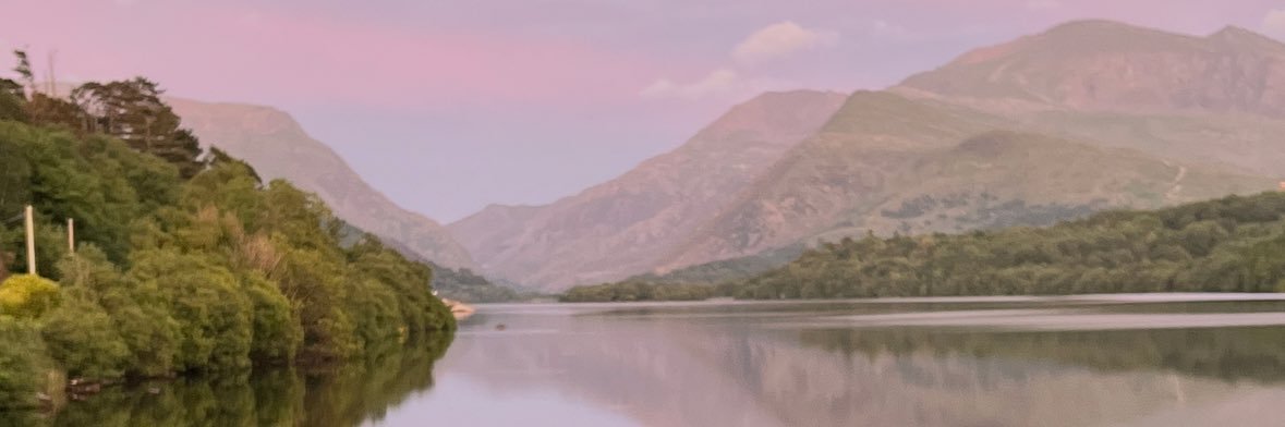 _SS981's profile banner image
