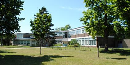 Stayner Collegiate banner