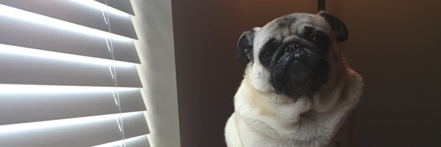KaelaaaW's profile banner image