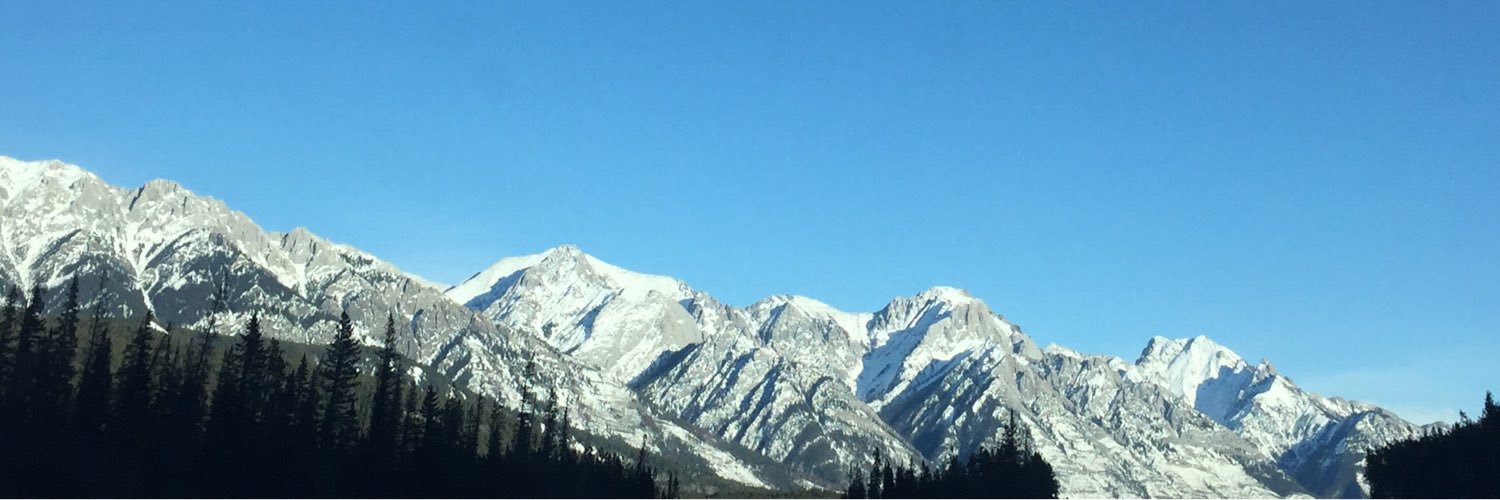 Stephen Langford banner