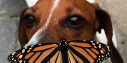 JordanEvelyn's profile banner image