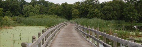 MStieve Profile Banner