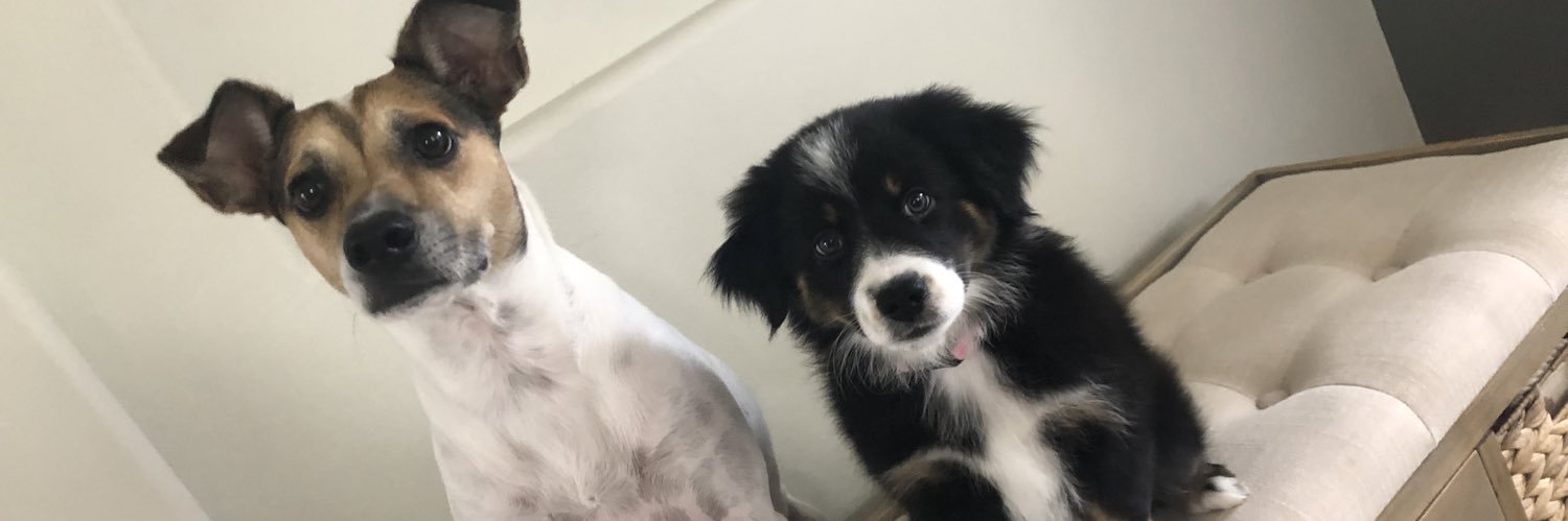 MeliReid12's profile banner image