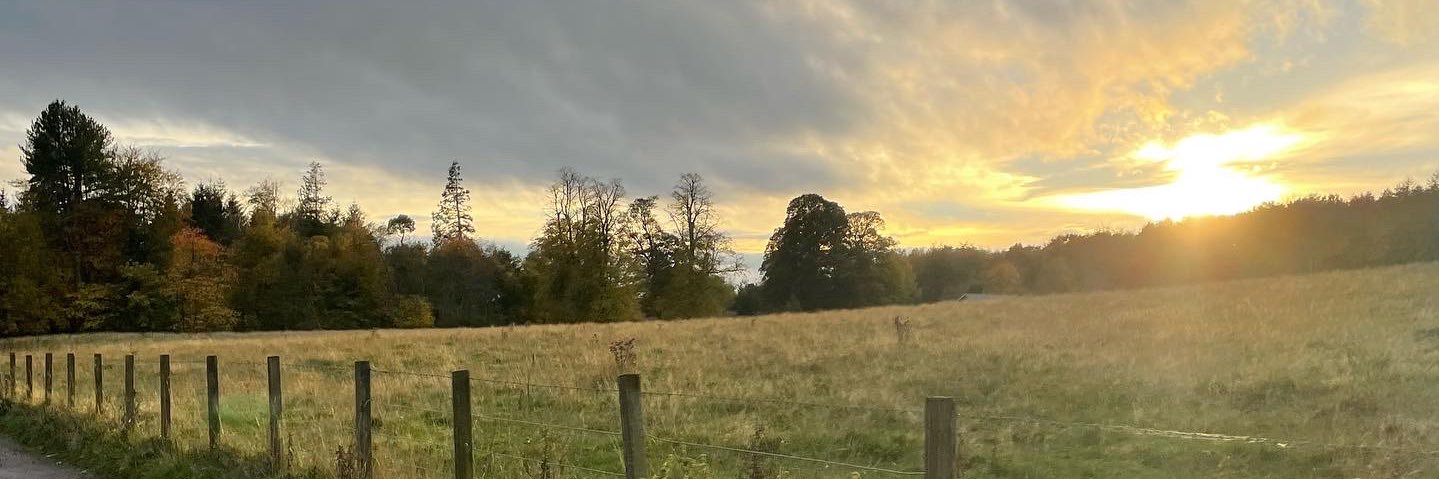 HillaryofTroy's profile banner image