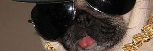 asleeponmoss's profile banner image
