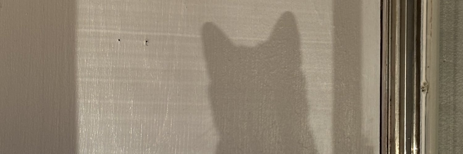lazy_lean_'s profile banner image