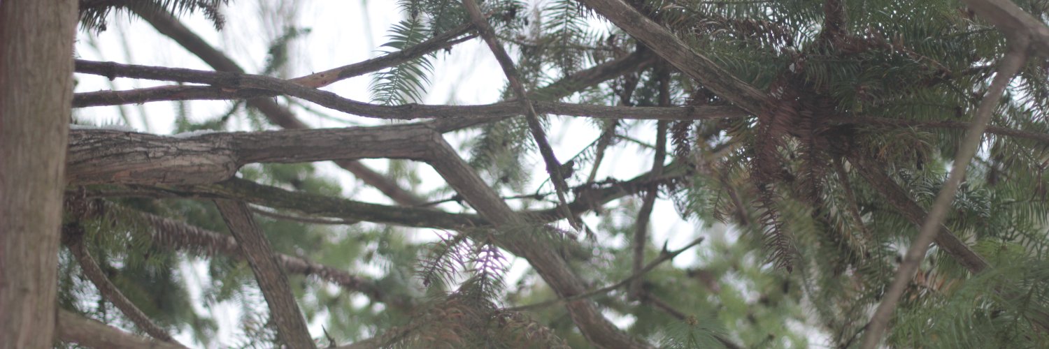 guitarhester's profile banner image