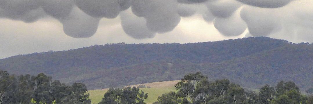ahlynch4's profile banner image