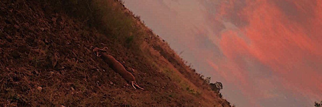 rettbake02's profile banner image