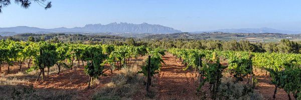 campos_nacho Profile Banner