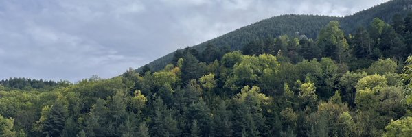 Joanacomas9 Profile Banner