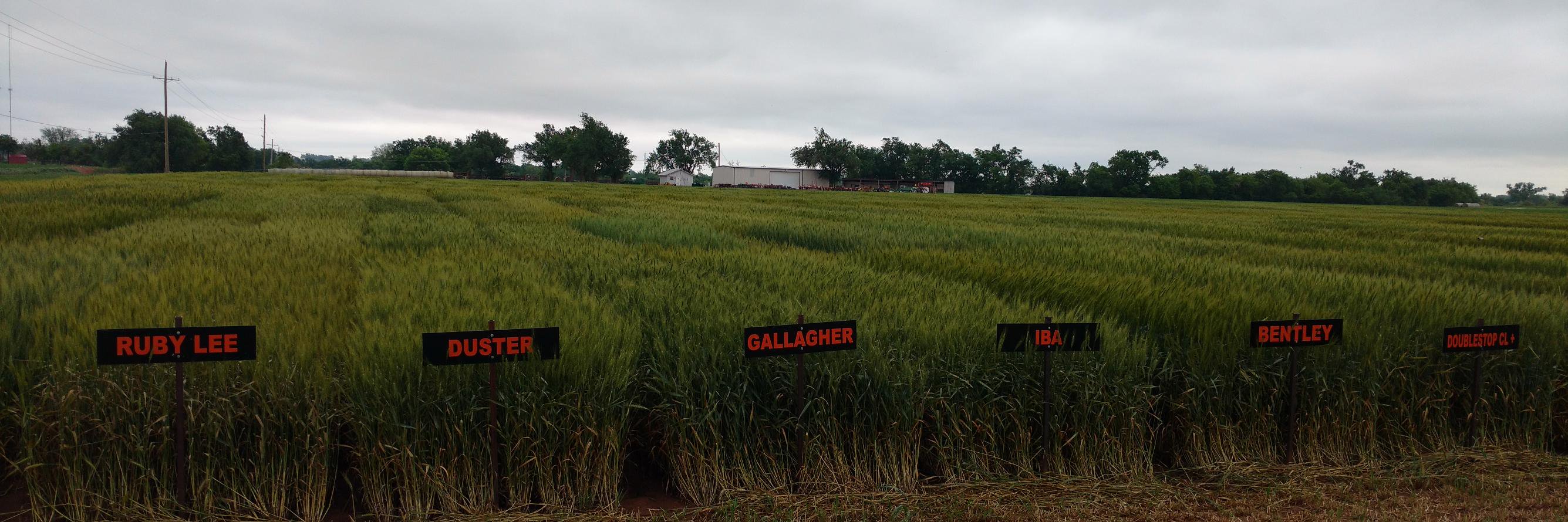 AgronomyDavid's profile banner image